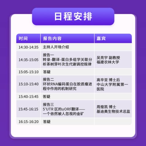 基迪奥翻译组 超凡实力，铸就卓越翻译服务